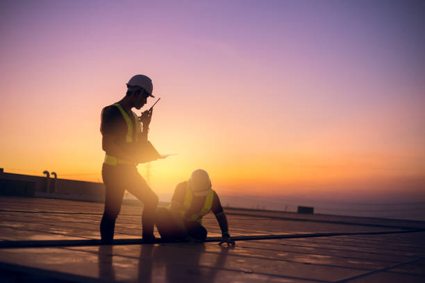 Best Sheet Metal Roofing  in Crainvle, IL