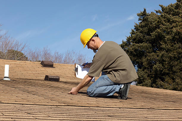 Best Roof Moss and Algae Removal  in Crainvle, IL